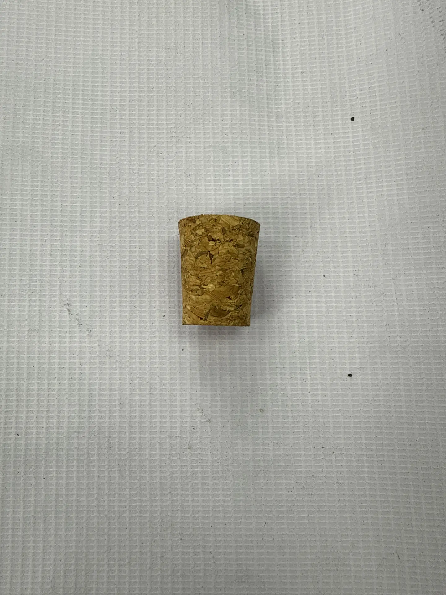 PLUG