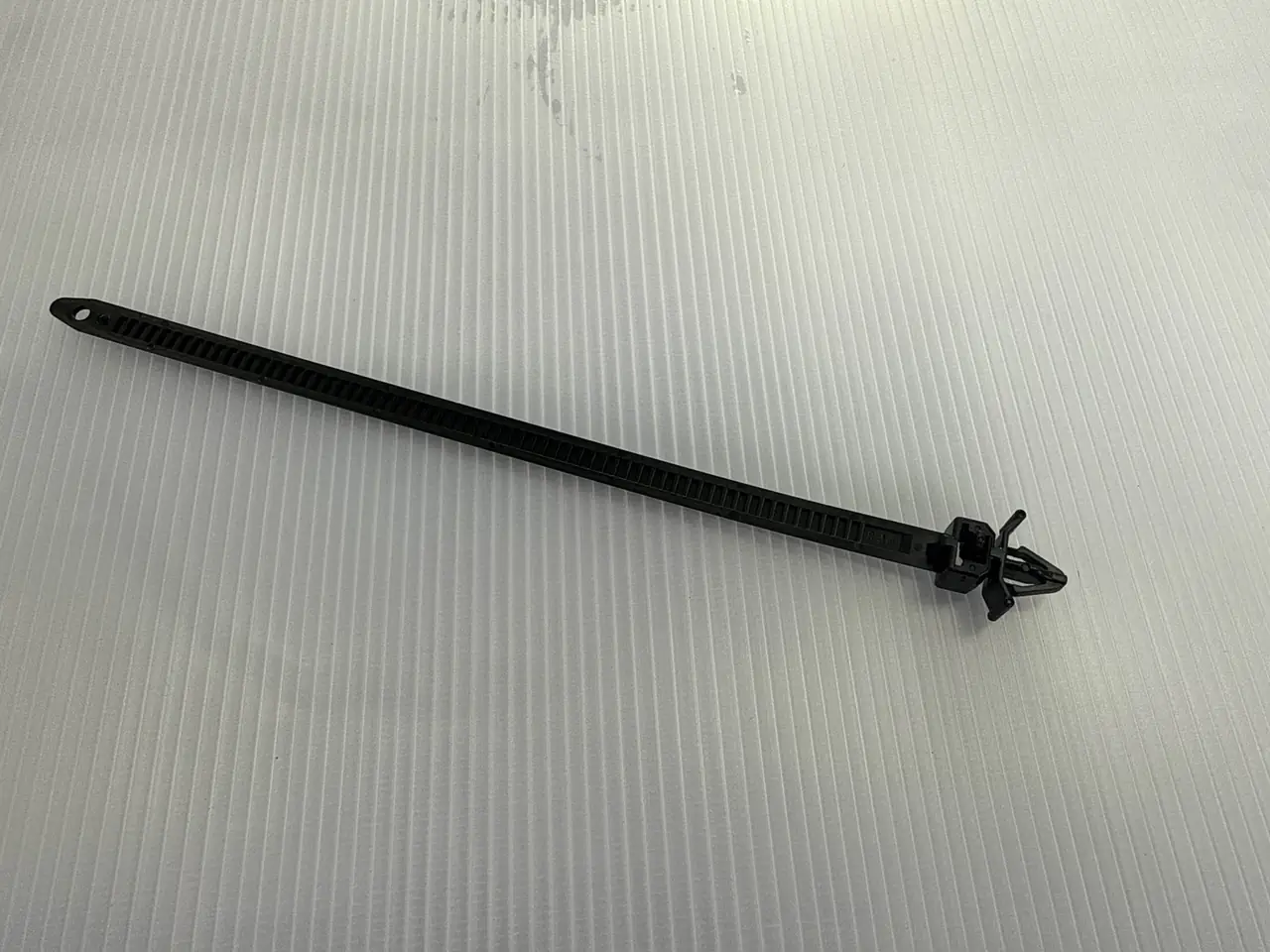 CLIP