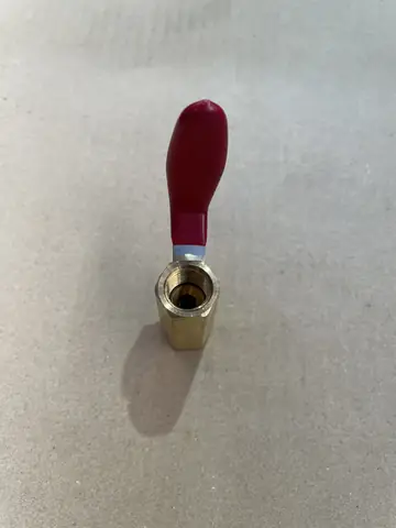 image.jpg