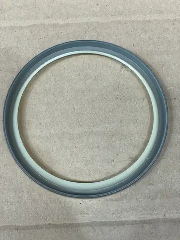 SEAL DUST