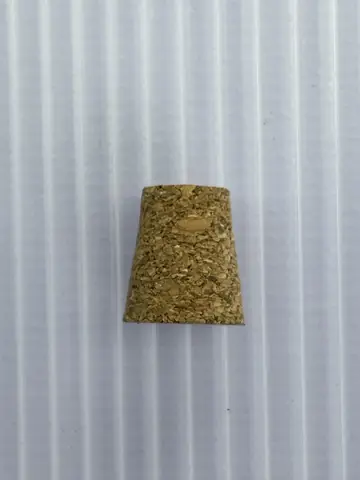 PLUG