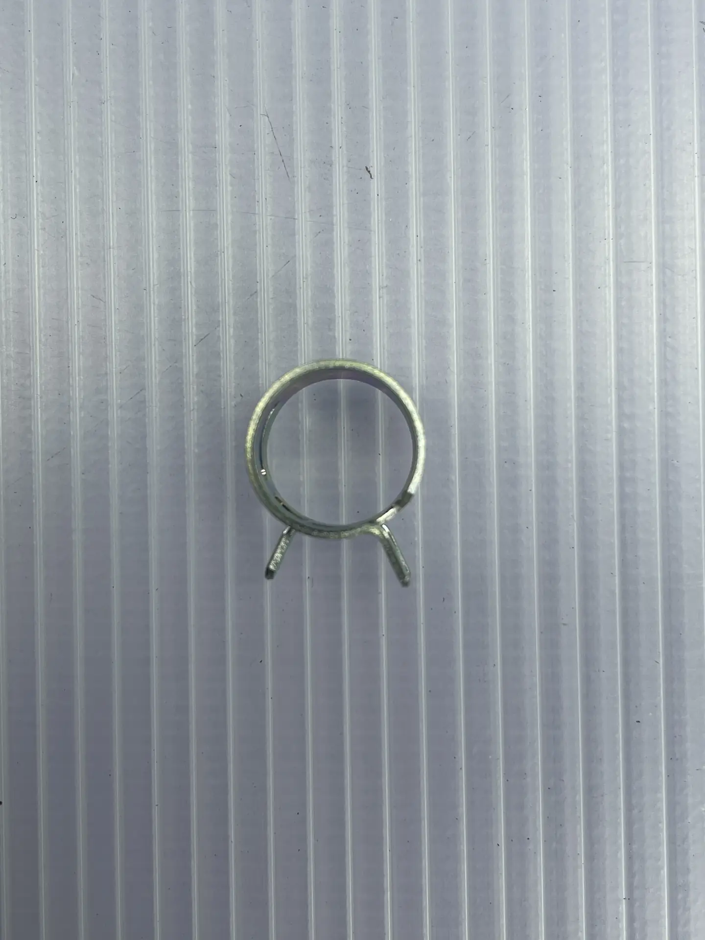 CLIP