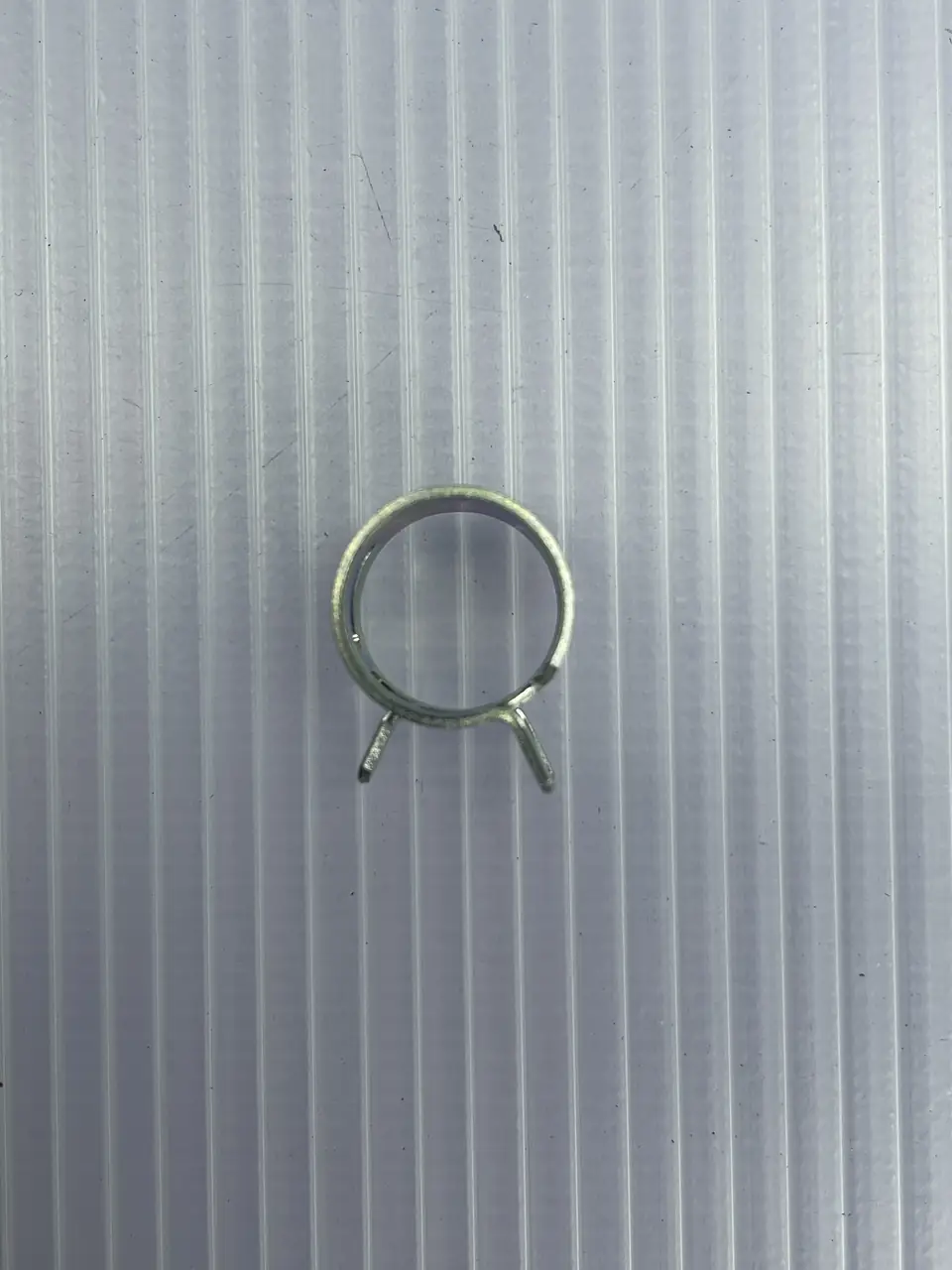 CLIP